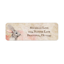 スイートバニーラビットアドレス