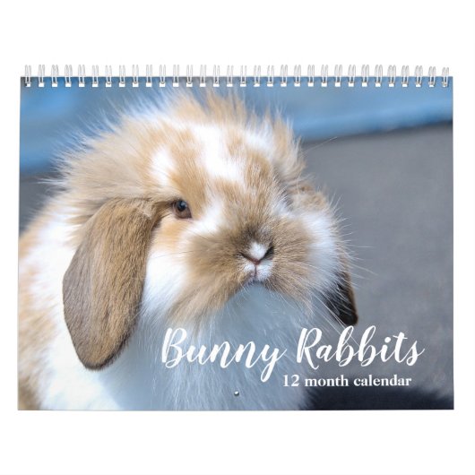 スイートバニーラビット2025 カレンダー (カバー)