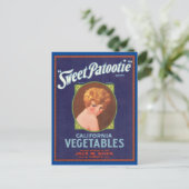 スイートパトゥタイブランド ポストカード (スタンド正面)