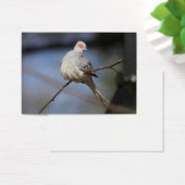 スイートビューティフルダイヤモンド鳩 (デスク)