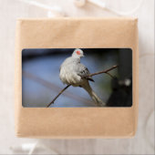 スイートビューティフルダイヤモンド鳩 ラベル (インサイチュ)