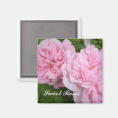 スイートピンクのバラ マグネット (正面/裏面)