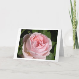 スイートピンクのローズグリーティングカードまたはノートカード カード