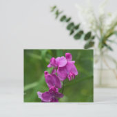 スイートピーかわいらしピンクワイルドフラワーポストカード ポストカード (スタンド正面)