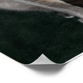 スイートピーのポスター ポスター (角)