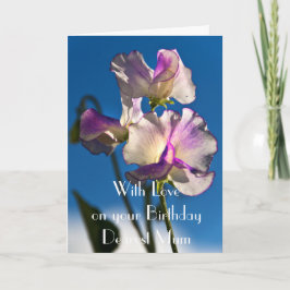 スイートピーのミイラの挨拶状 カード