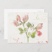 スイートピーの水彩 ポストカード (正面/裏面)