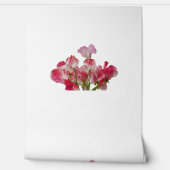 スイートピーの花壁紙 壁紙 (ほどく)