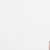 スイートピーの花壁紙 壁紙 (縫い目)