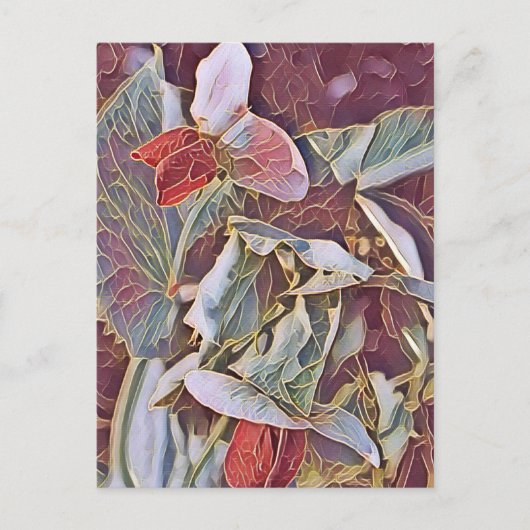 スイートピーの花 ポストカード (正面)