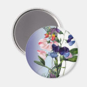 スイートピーの花 マグネット (正面/裏面)