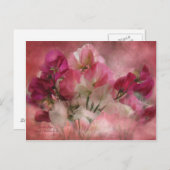 スイートピーの郵便はがき ポストカード (正面/裏面)