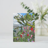 スイートピーガラ葉書 ポストカード (スタンド正面)