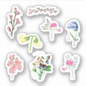 スイートピーステッカー シール (正面)