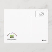 スイートピーズインアンティーク花瓶 ポストカード (裏面)