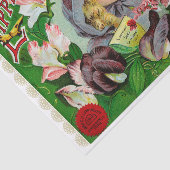 スイートピーズ1908花種カタログ 薄葉紙 (詳細)