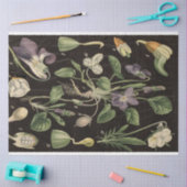 スイートピーデクページ紙 薄葉紙 (クラフト)