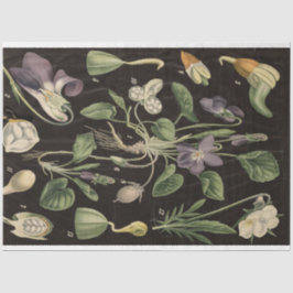 スイートピーデクページ紙 薄葉紙