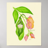 スイートピーフラワーガールアートプリントポスター ポスター (正面)