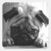 スイートピープグ スクエアシール (正面)