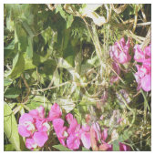 スイートピーレース….. ファブリック (見本)