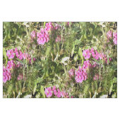 スイートピーレース….. ファブリック (ファットクウォーター)