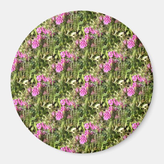 スイートピーレース….. マグネット (正面)