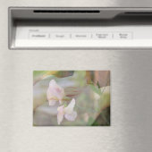 スイートピー磁石 マグネット (インサイチュ (食洗機))