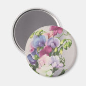 スイートピー1907 マグネット (正面/裏面)