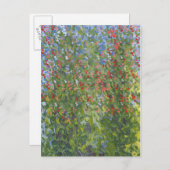 スイートピー2014年 ポストカード (正面/裏面)