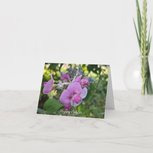 スイートピー・グレースの状態 シーズンカード (正面)