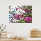 スイートピー ポスター (キッチン)