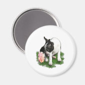 スイートピー マグネット (正面/裏面)