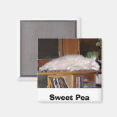 スイートピー マグネット (正面/裏面)