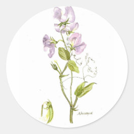 スイートピー ラウンドシール