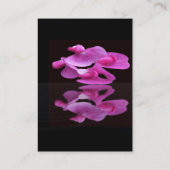 スイートピー 名刺 (裏面)