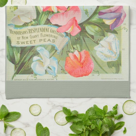 スイートピー: 1906種カタログのイラストレーション キッチンタオル (折り畳み)