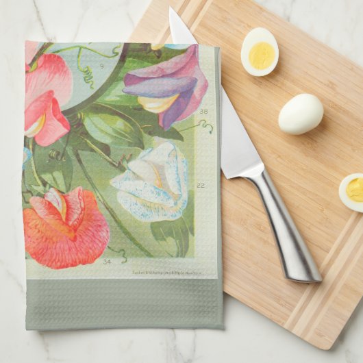 スイートピー: 1906種カタログのイラストレーション キッチンタオル (四つ折り)