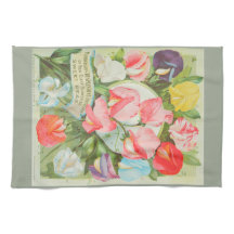 スイートピー: 1906種カタログのイラストレーション