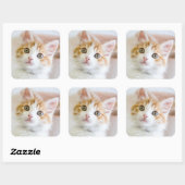 スイートブルーアイド子猫 スクエアシール (シート)