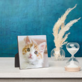 スイートブルーアイド子猫 フォトプラーク (インサイチュ)