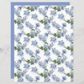スイートブルーオダマキ（植物）フラワースクレーブック紙 (正面/裏面)