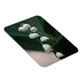 スイートベルプレミアムマグネット マグネット (右側)