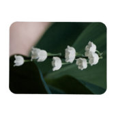 スイートベルプレミアムマグネット マグネット (横)