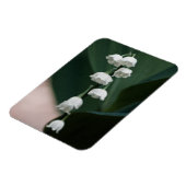 スイートベルプレミアムマグネット マグネット (左側)