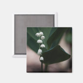 スイートベル磁石 マグネット (正面/裏面)