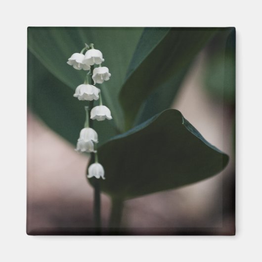 スイートベル磁石 マグネット (正面)