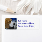 スイートベーグル ラベル (インサイチュ)