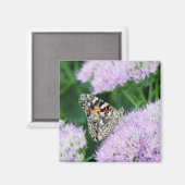 スイートペイントドレディ マグネット (正面/裏面)