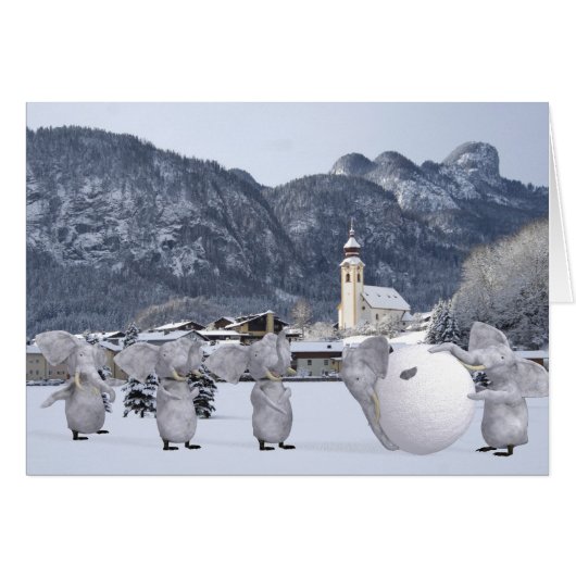 スイートペンパンファン (正面横)